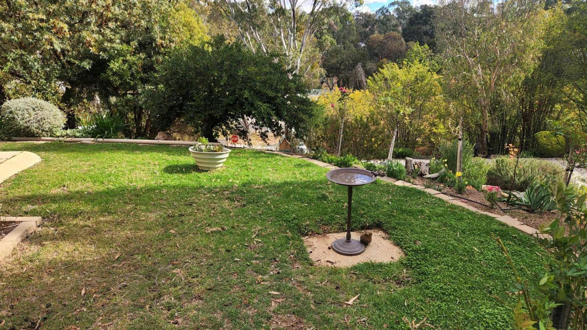 Riesling Trail & Clare Valley Cottages Pokój zdjęcie